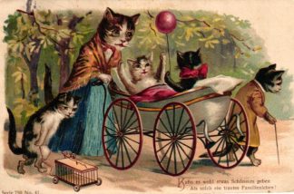Katze, Katzenfamilie, Kinderwagen, Prägekarte, 1906