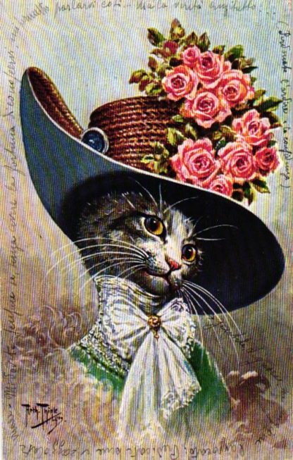 Katze mit Hut, sign. Arthur Thiele, TSN Serie 1113