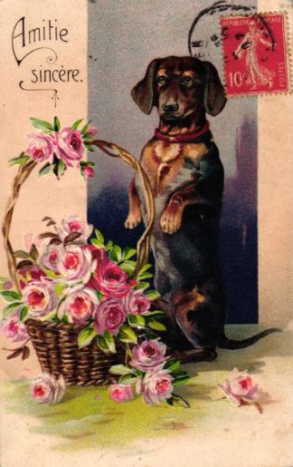 Dackel, Korb mit Rosen, Prägekarte, um 1905/10