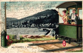 Miltenberg am Main, Eisenbahn, Wagon, Prägekarte, 1905