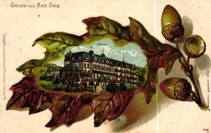 Bad Orb, Eichblatt-Prägekarte, 1906 nach Ober-Schmitten b. Nidda versandt